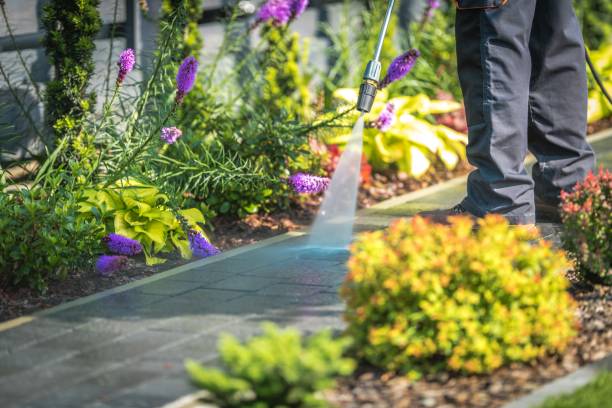 Best Parking Lot and Garage Cleaning  in Gridley, CA